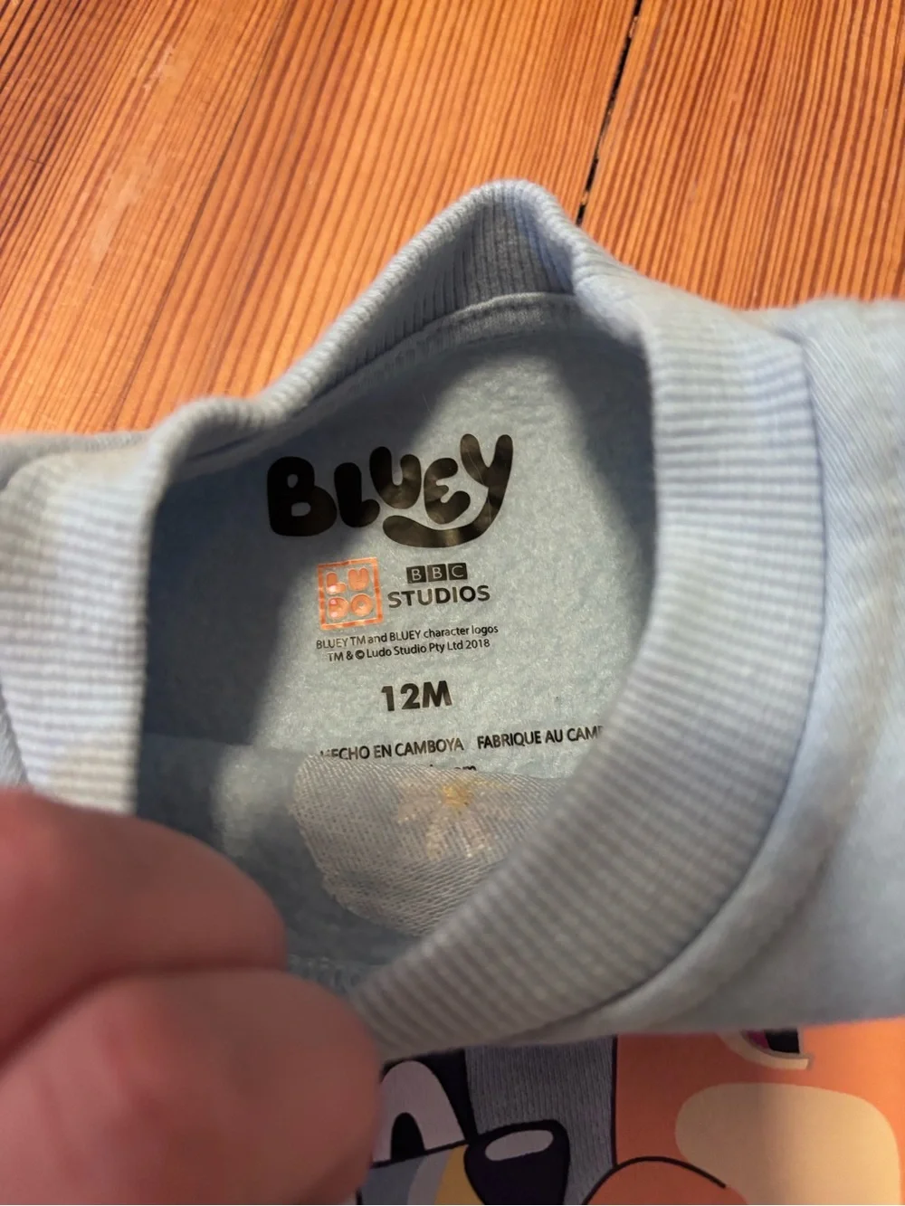 Bluey baby 2-piece matching set sweatshirt and sweats size 12 months